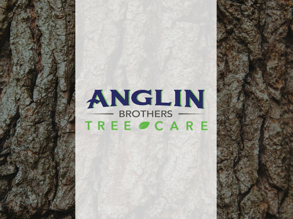 Anglin Brothers Tree Care | Small Business Websites | Spark Sites | Lakeland, FL