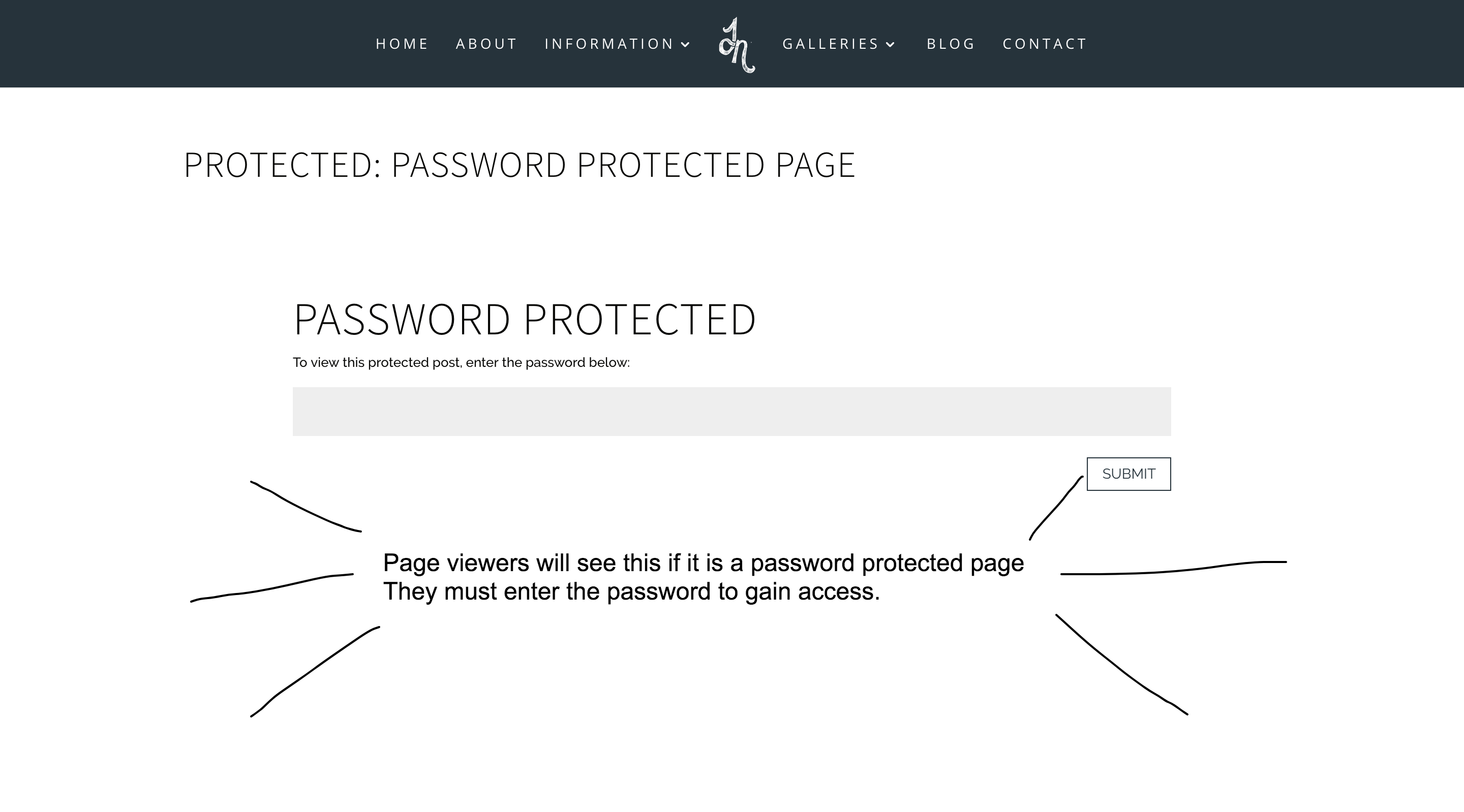Create a Password Protected Page on Your Website - Spark My Site