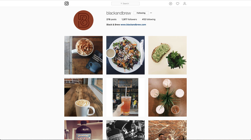 Five Tips on Having a Solid Instagram Following - Spark My Site