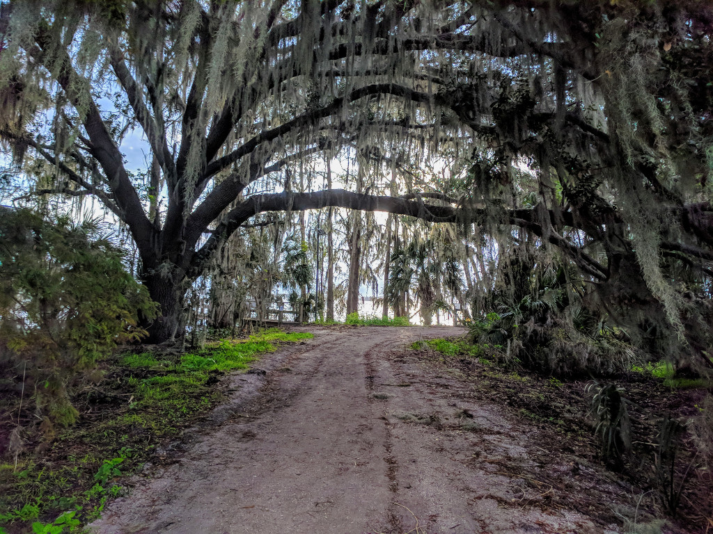 Circle B Bar Reserve - Unwinding on Weekends in Lakeland - Spark My Site - Lakeland, FL