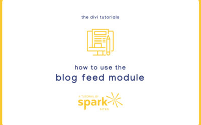 Divi Tutorials: How to Use the Blog Feed Module